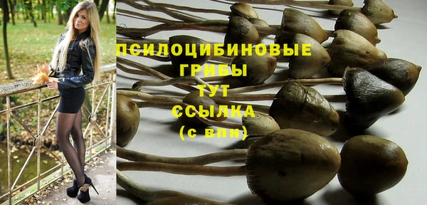 тгк Ветлуга