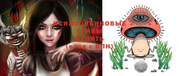 МДПВ Нефтегорск
